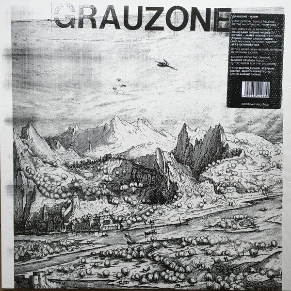 Grauzone - Raum (12") We Release Whatever The Fuck We Want Records Vinyl 4251648414889