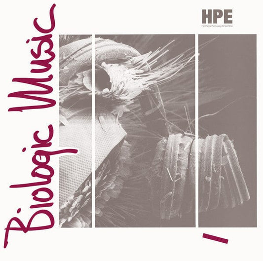 Heerlens Percussie Ensemble - Biologic Music (LP, Album, RE, RM) Hot Mule