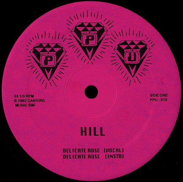 Hill* / Roshell Anderson - Delicate Rose / Wild Dreams (12") Peoples Potential Unlimited Vinyl