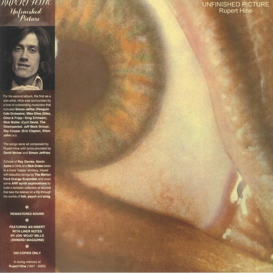 Rupert Hine - Unfinished Picture (LP) (Gatefold)