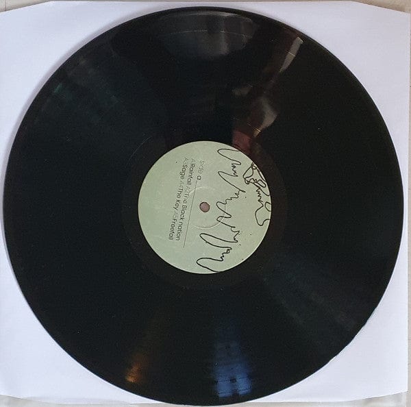 Jake Mehew - Sage (LP) ATA Records (3) Vinyl 5050580788619