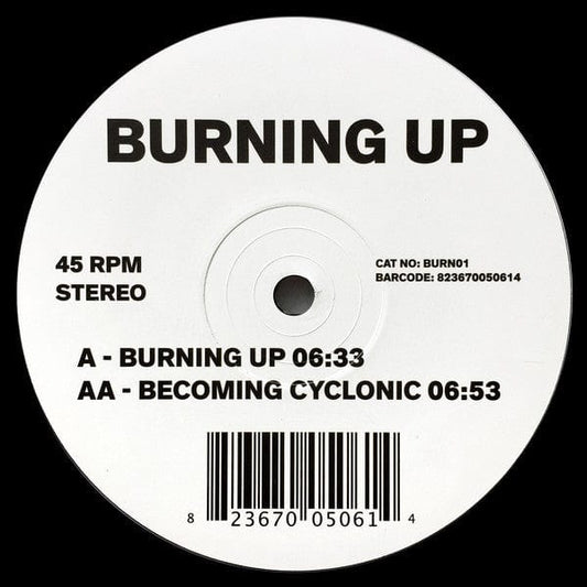 Jimpster - Burning Up / Becoming Cyclonic (10") Freerange Records Vinyl 823670050614