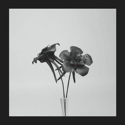 Jlin - Dark Lotus (12") Planet Mu Vinyl 5055300386007