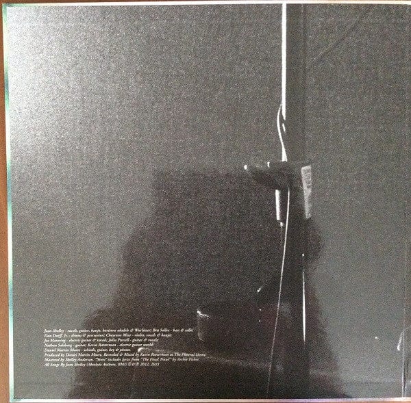 Joan Shelley - Ginko (LP) No Quarter,ok recordings Vinyl 843563138410