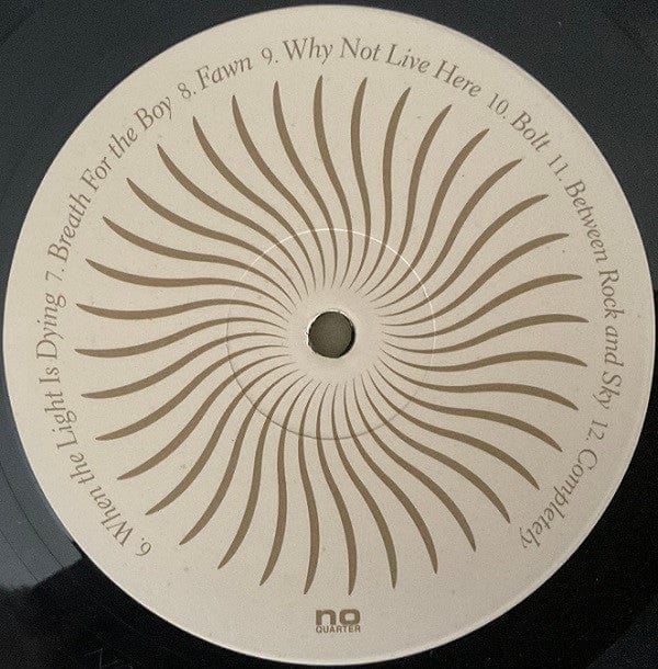 Joan Shelley - The Spur (LP) No Quarter Vinyl 843563151266