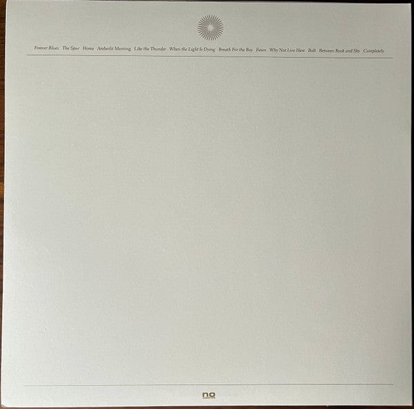 Joan Shelley - The Spur (LP) No Quarter Vinyl 843563152065