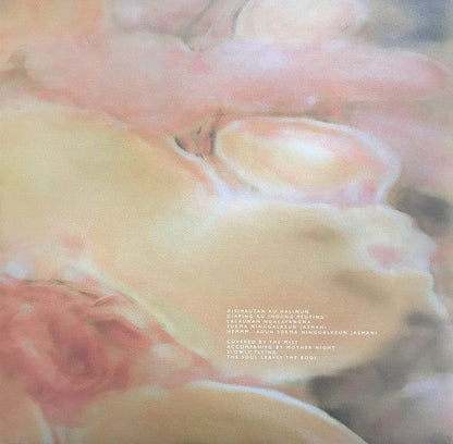 Jonny Nash, Teguh Permana - Poe (LP) Melody As Truth Vinyl
