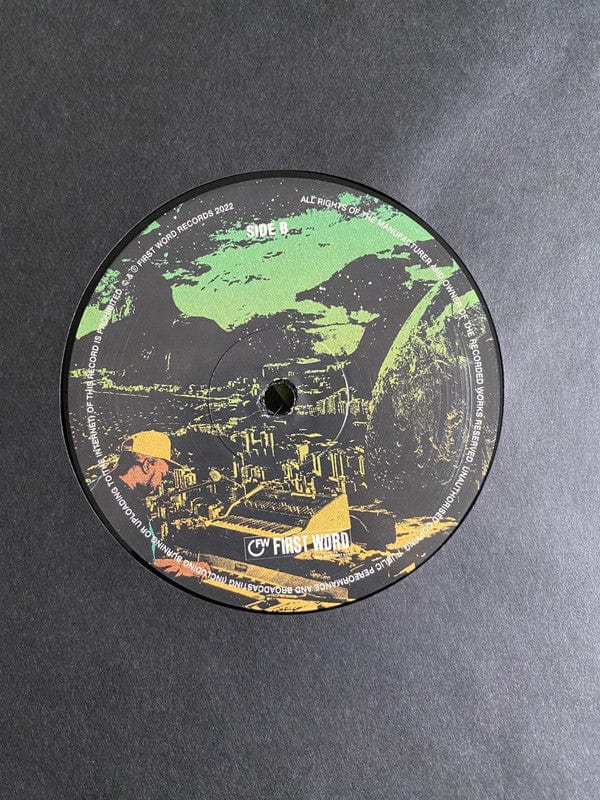 Kaidi Tatham - Don't Rush The Process (LP) First Word Records Vinyl 5050580783096