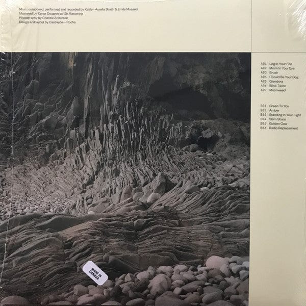 Kaitlyn Aurelia Smith & Emile Mosseri - I Could Be Your Dog / I Could Be Your Moon (LP) Ghostly International Vinyl 804297840420