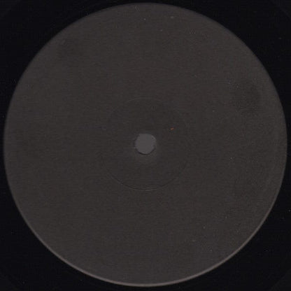 Kamasi Washington / Gregory Porter - Kai Alcé Interpretations (2x12") Not On Label Vinyl