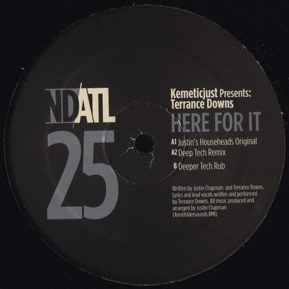 Kemetic Just Presents: Terrance Downs - Here For It (12") NDATL Muzik Vinyl