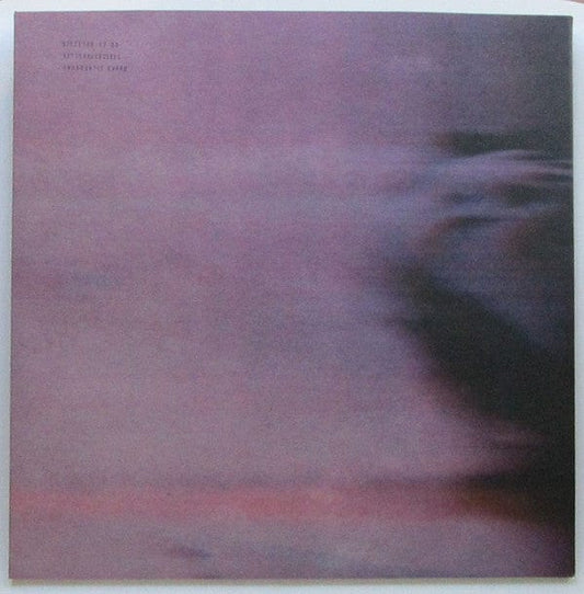 Kettenkarussell – Insecurity Guard (2x12", 140g, Giegling, 2017) Front Cover