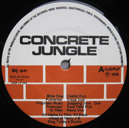 King Tubby & Riley All Stars* - Concrete Jungle Dub (LP) Dub Store Records Vinyl 4571179533140