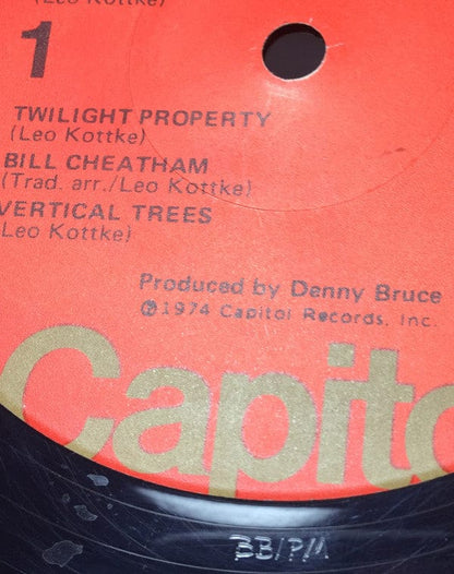 Leo Kottke - Dreams And All That Stuff (LP, Album, Jac) on Further Records at Further Records