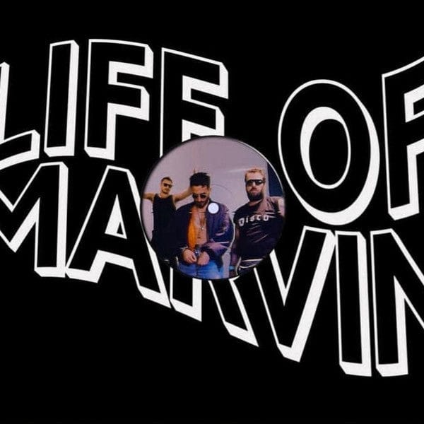 Life of Marvin - In The Night (12") Life Of Marvin Vinyl
