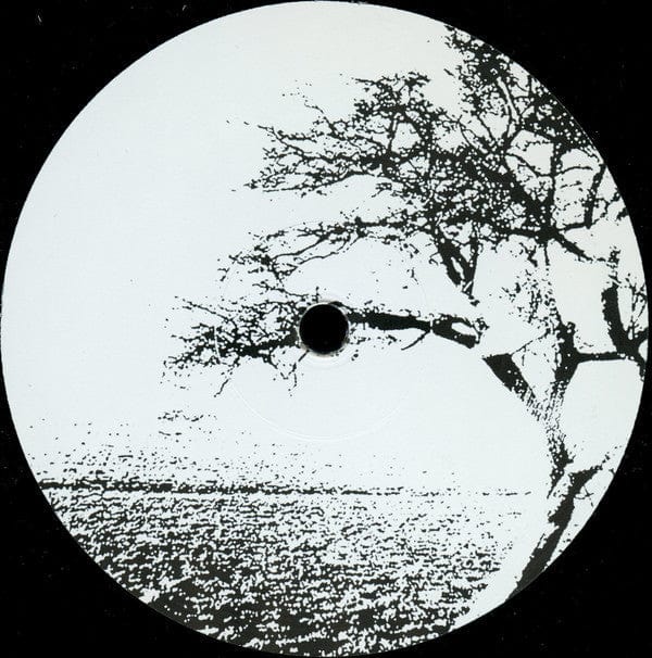 LoSoul - Open Door (12", RE, RM) Another Picture