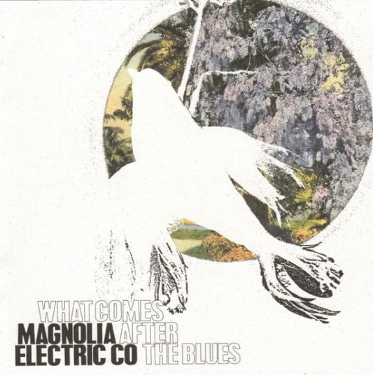 Magnolia Electric Co* - What Comes After The Blues on Secretly Canadian,Secretly Canadian at Further Records