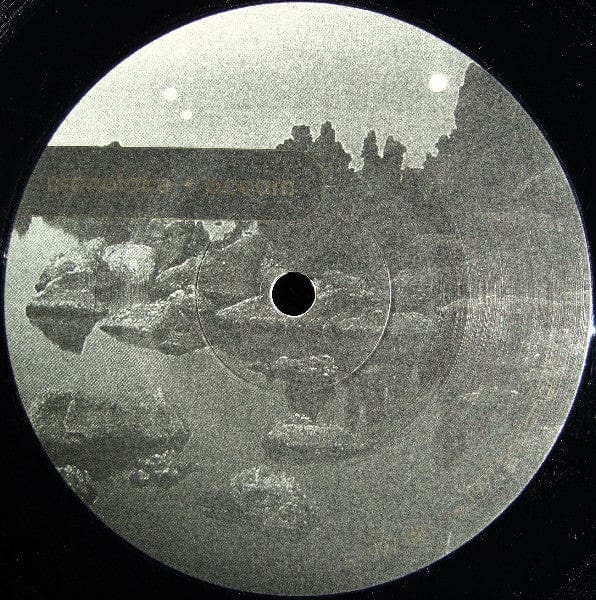 Monolake - Occam / Arte (12") DIN