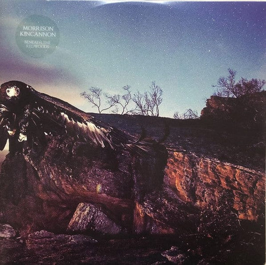 Morrison Kincannon – Beneath The Redwoods (2xLP, Spacetalk Records, 2018) Front Cover