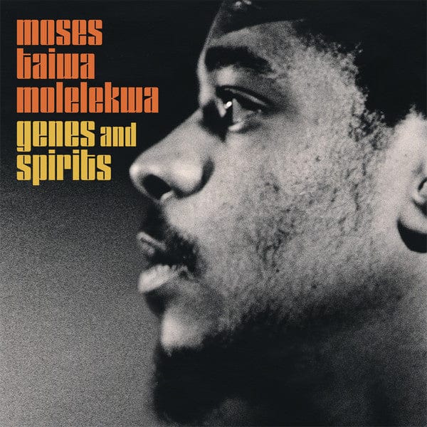 Moses Taiwa Molelekwa - Genes and Spirits (2xLP, Dlx, Gat) Matsuli Music