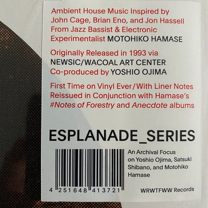 Motohiko Hamase - Technodrome (LP) We Release Whatever The Fuck We Want Records Vinyl