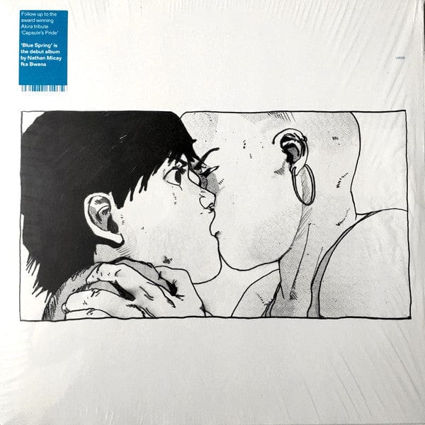 Nathan Micay - Blue Spring (2xLP, Album) LuckyMe