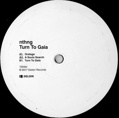 Nthng - Turn To Gaia (12") Delsin Vinyl