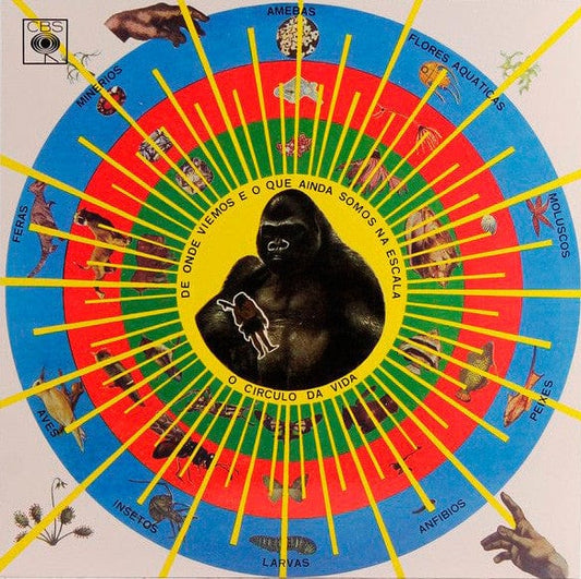 Pedro Santos - Krishnanda (LP) Mr Bongo Vinyl 7119691245317