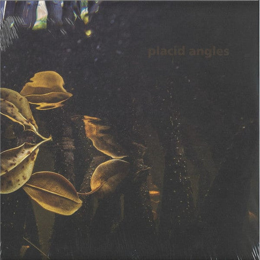 Placid Angles - Touch The Earth (3x12") Figure,Figure Vinyl