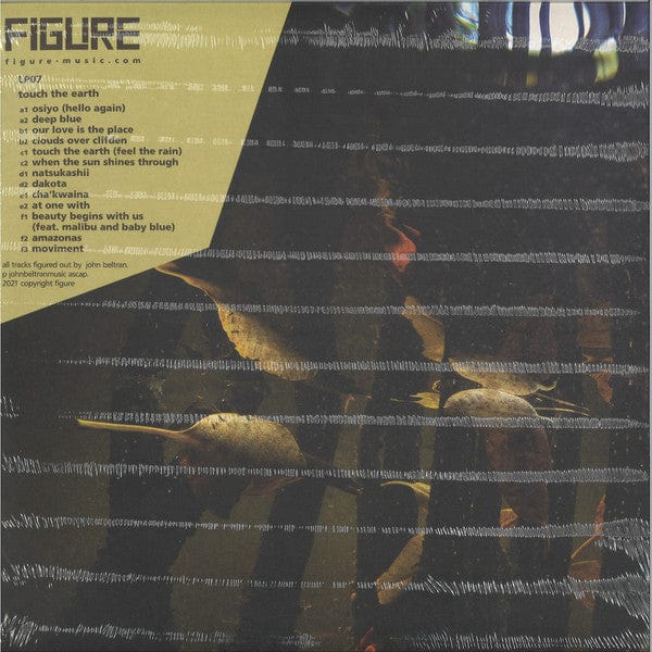 Placid Angles - Touch The Earth (3x12") Figure,Figure Vinyl