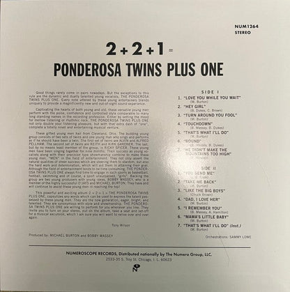 Ponderosa Twins + One – 2+2+1 = Ponderosa Twins + One (LP, Green, Numeroscope Records, 2022) Image 4