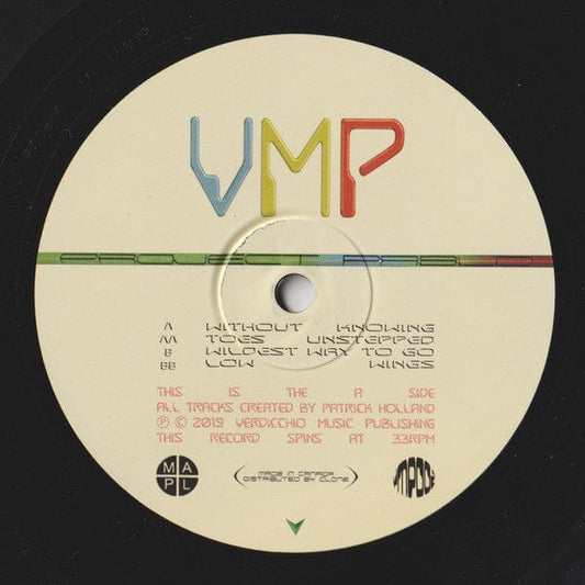 Project Pablo - Low Wings (12") Verdicchio Music Publishing Vinyl