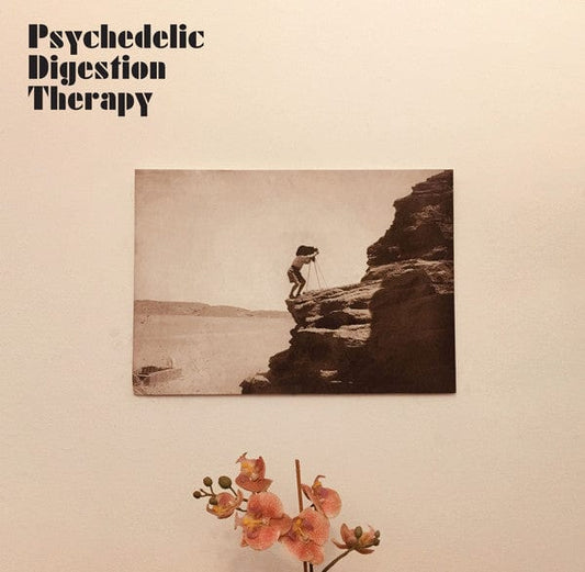 Psychedelic Digestion Therapy - Psychedelic Digestion Therapy (LP) on Strangelove Music at Further Records