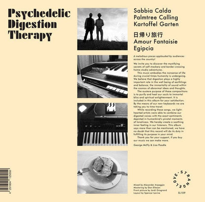 Psychedelic Digestion Therapy - Psychedelic Digestion Therapy (LP) on Strangelove Music at Further Records