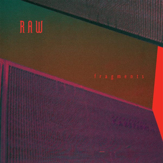 Raw (8) - Fragments (12") Dark Entries Vinyl