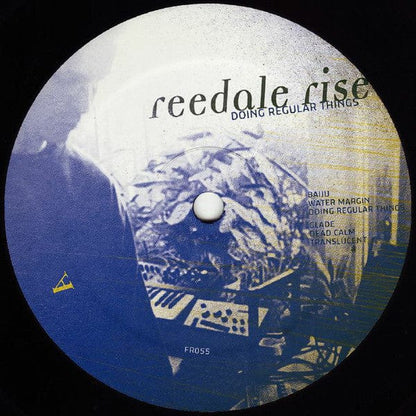Reedale Rise - Doing Regular Things (12") Frustrated Funk Vinyl