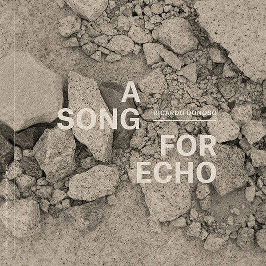 Ricardo Donoso - A Song For Echo (LP, Album, Ltd) Kathexis