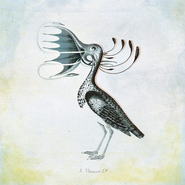 Ricardo Vincenzo - EP (12", EP) Sähkö Recordings