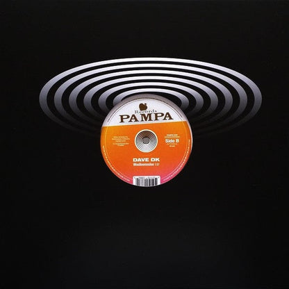 Ricoshëi, Dave DK - Perfect Like You / Woolloomooloo (12") Pampa Records Vinyl 827170138629