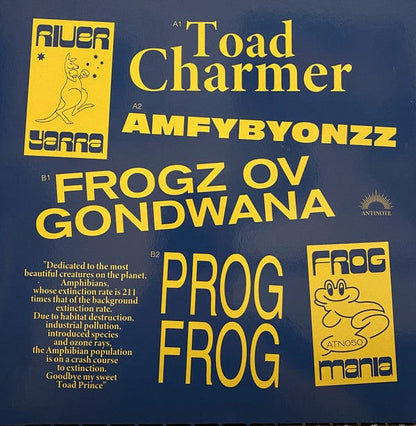 River Yarra - FrogMania (12") Antinote