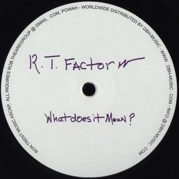 Ron Trent - Who Are We? / What Does It Mean? (12") Electric Blue (3)