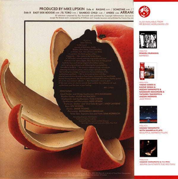 Ryo Kawasaki = 川崎燎 - Juice = ジュース (LP) – Further Records