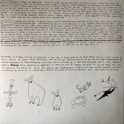 Sadurn – Radiator (LP, Coke Bottle Clear, Run For Cover Records, 2022) Image 4