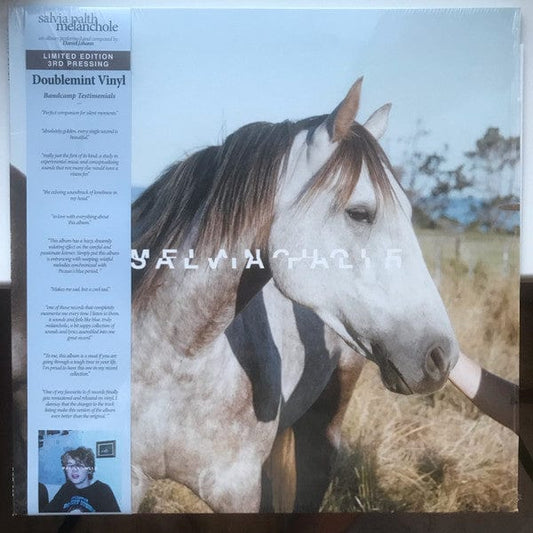Salvia Palth – Melanchole (LP, Mint, Danger Collective Records, 2022) Front Cover