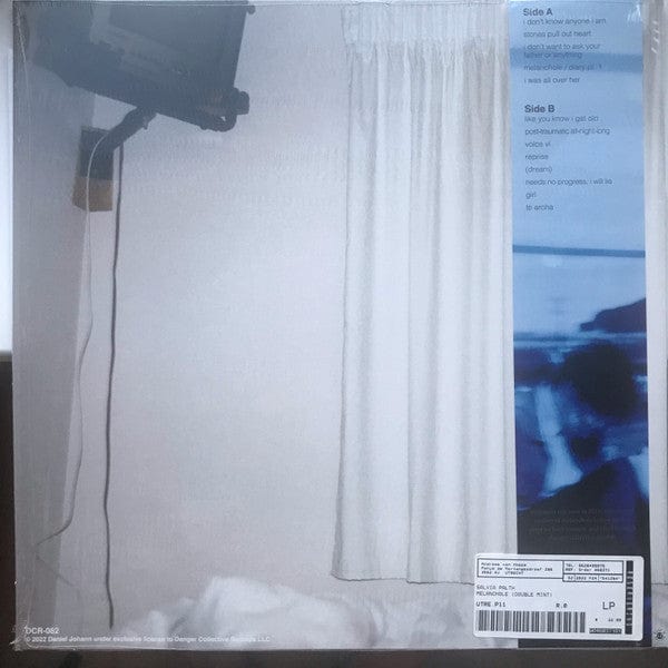 Salvia Palth - Melanchole (LP) (Mint) – Further Records