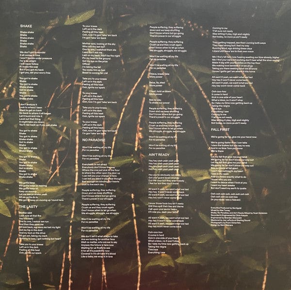 Santigold - Spirituals (LP) Little Jerk Records Vinyl 617308020922