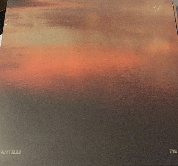Santilli - Tidal (LP) Growing Bin Records Vinyl