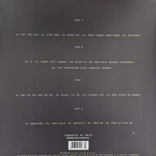 Sault - Untitled (Black Is) (2xLP) – Further Records
