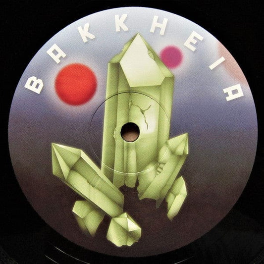 Schuttle – BH004 (12", Bakk Heia Records, 2021) Front Cover