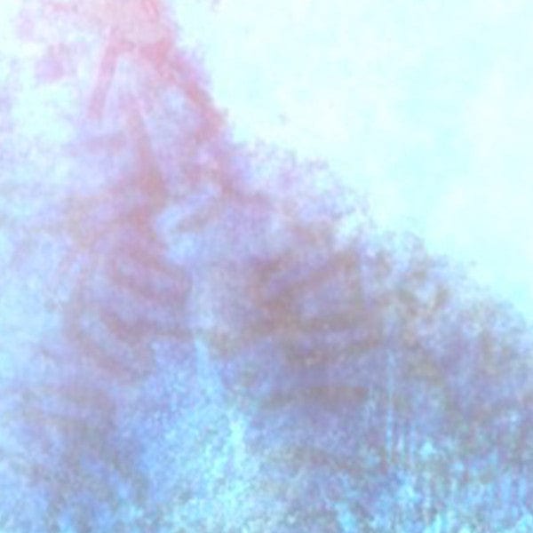 Scuba Death - The Worm At The Core (LP) Further Records Vinyl 4260038317327